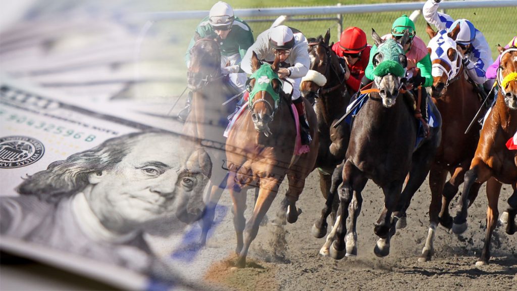 horse race bettting strategy